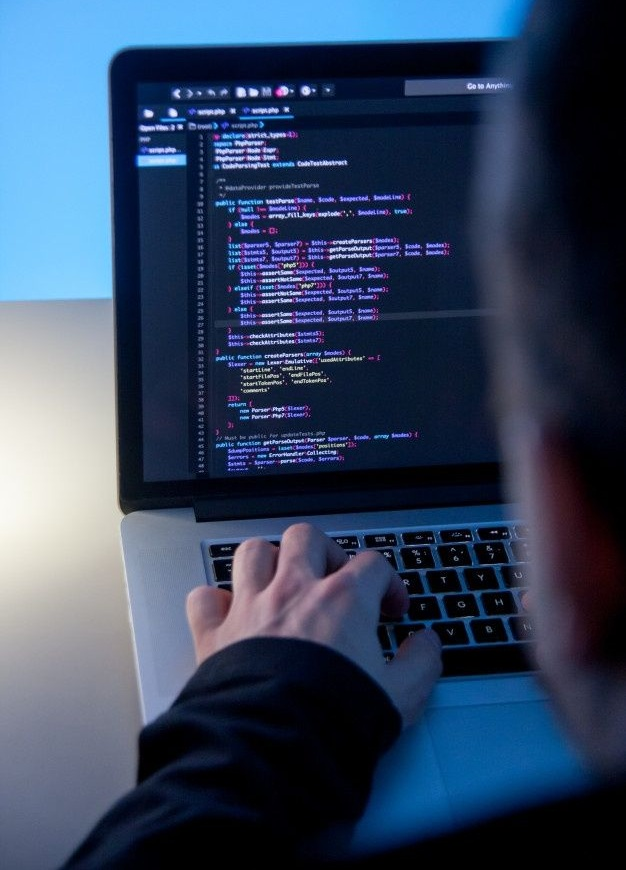 desarrollador web en españa